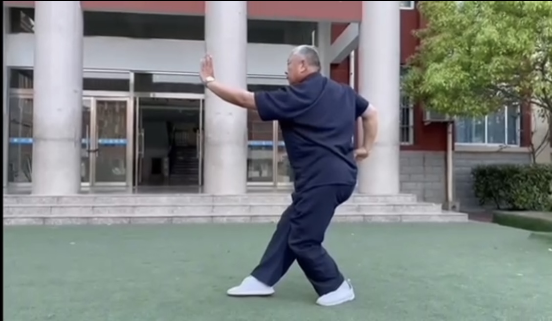 韩振德八极拳动作演练