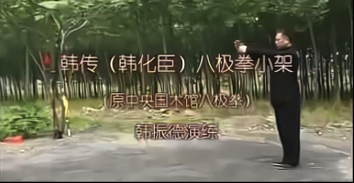 韩振德八极拳小架演练封面